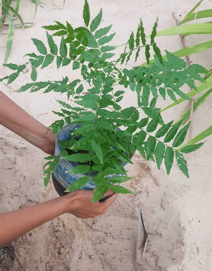 Our Work